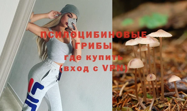 mdpv Михайлов